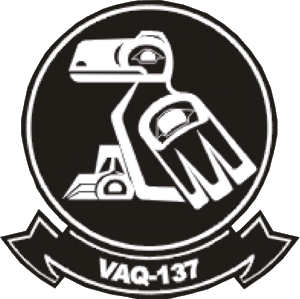 cvw1 vaq137.gif